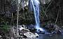 Curtis Falls at Mt Tamborine