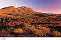 5 Day Flinders Ranges & Outback Inc Arkaroola (4nts Standard Motel Unit - Double/Twin)